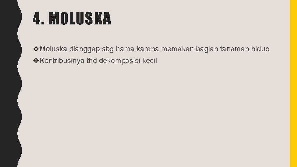 4. MOLUSKA v. Moluska dianggap sbg hama karena memakan bagian tanaman hidup v. Kontribusinya