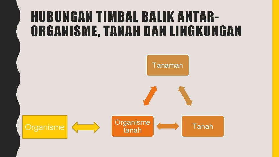 HUBUNGAN TIMBAL BALIK ANTARORGANISME, TANAH DAN LINGKUNGAN Tanaman Organisme tanah Tanah 