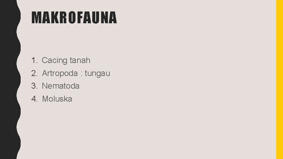 MAKROFAUNA 1. Cacing tanah 2. Artropoda : tungau 3. Nematoda 4. Moluska 