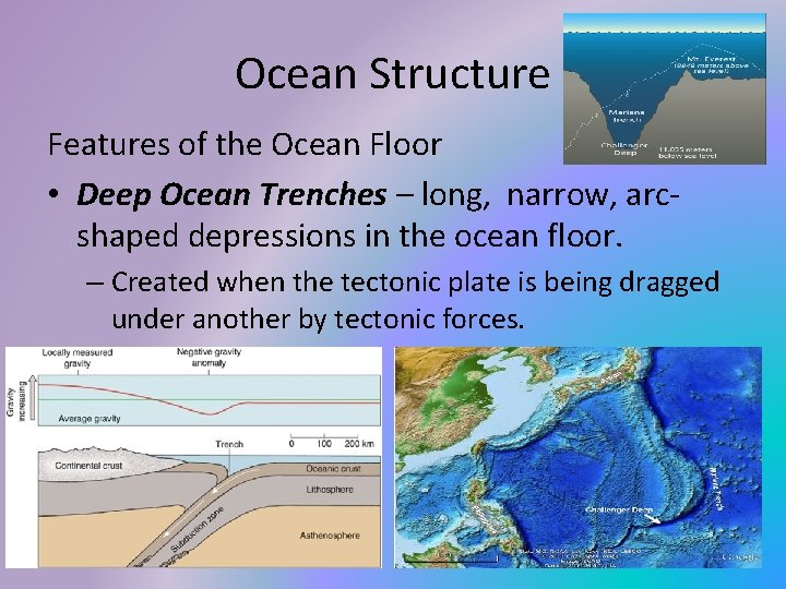Ocean Structure Features of the Ocean Floor • Deep Ocean Trenches – long, narrow,