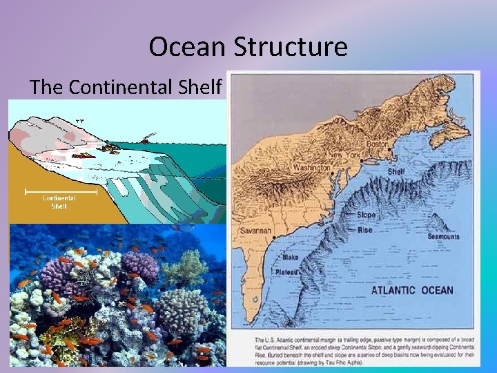 Ocean Structure The Continental Shelf 