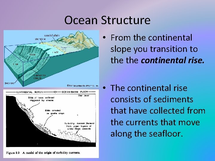 Ocean Structure • From the continental slope you transition to the continental rise. •