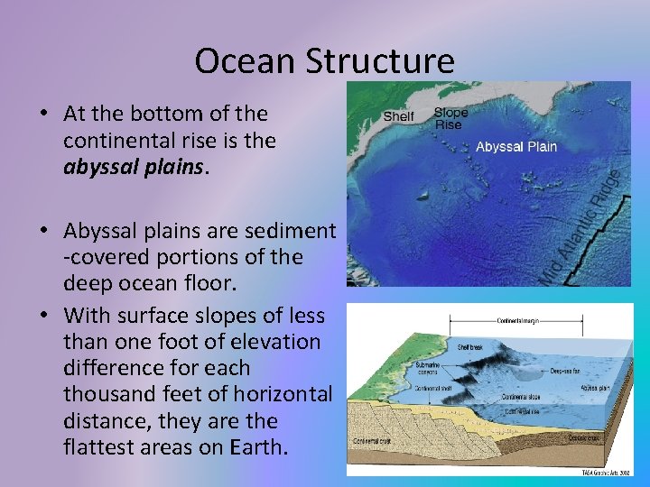 Ocean Structure • At the bottom of the continental rise is the abyssal plains.