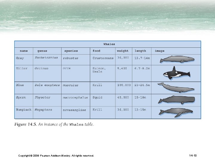 Copyright © 2006 Pearson Addison-Wesley. All rights reserved. 14 -18 