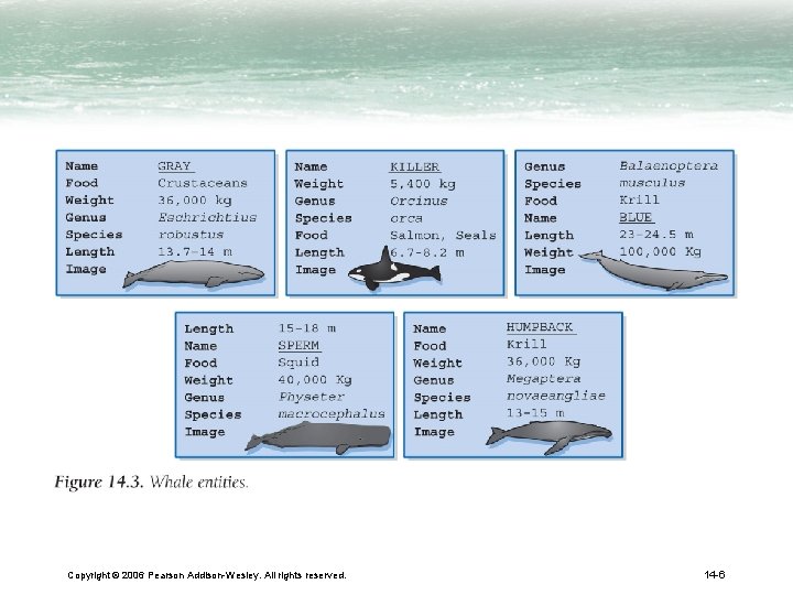 Copyright © 2006 Pearson Addison-Wesley. All rights reserved. 14 -6 