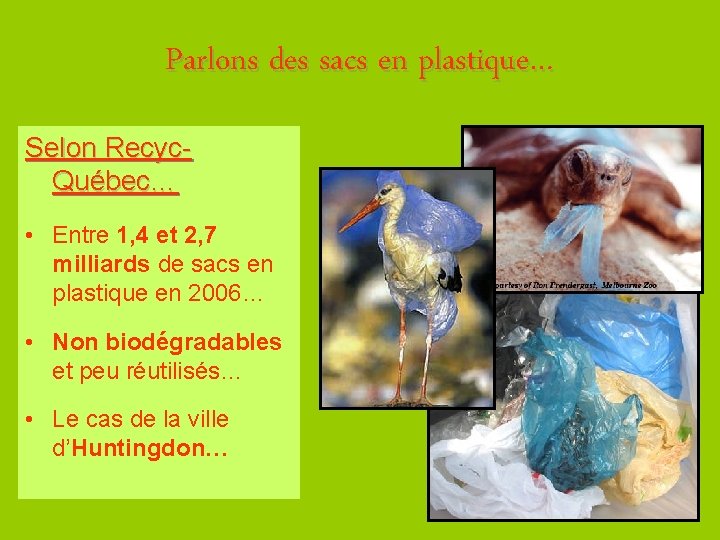 Parlons des sacs en plastique… Selon Recyc. Québec… • Entre 1, 4 et 2,