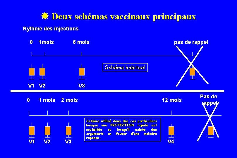 Deux vaccinaux principaux LES SCHEMAS DEschémas VACCINATION Rythme des injections 0 1 mois Deux vaccinaux principaux LES SCHEMAS DEschémas VACCINATION Rythme des injections 0 1 mois