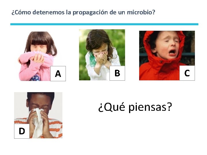 ¿Cómo detenemos la propagación de un microbio? A B ¿Qué piensas? D C 