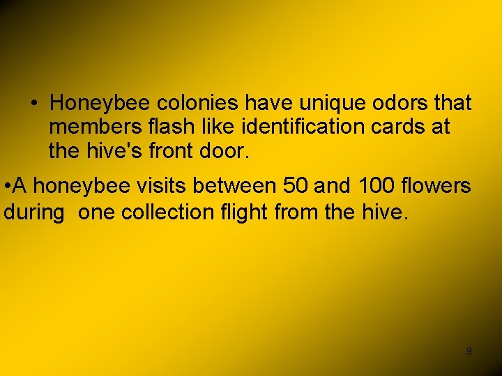  • Honeybee colonies have unique odors that members flash like identification cards at