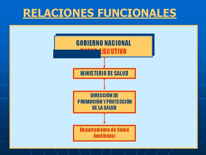 RELACIONES FUNCIONALES GOBIERNO NACIONAL PODER EJECUTIVO MINISTERIO DE SALUD DIRECCIÓN DE PROMOCIÓN Y PROTECCIÓN