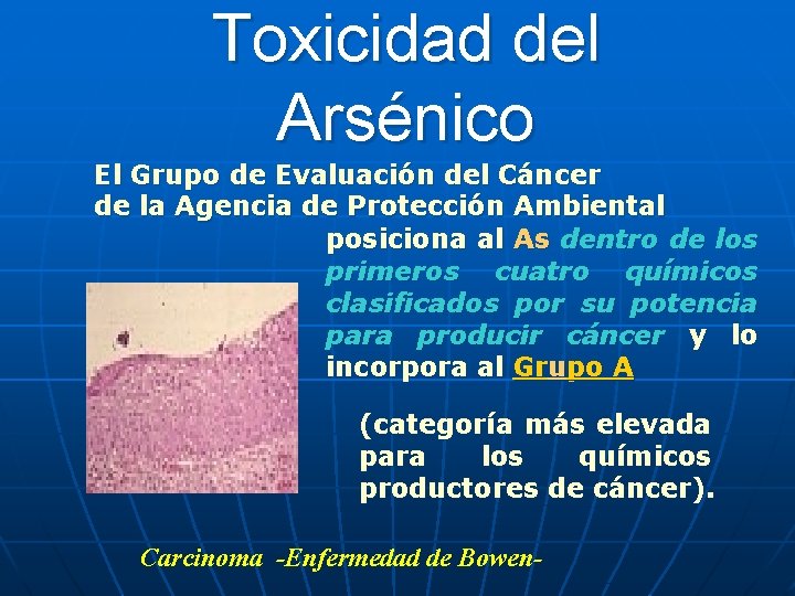 Toxicidad del Arsénico El Grupo de Evaluación del Cáncer de la Agencia de Protección