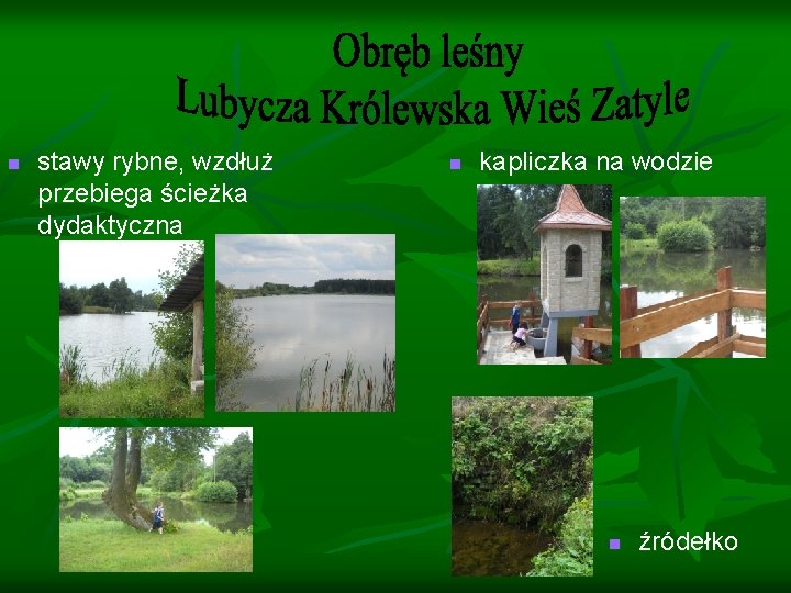 n stawy rybne, wzdłuż przebiega ścieżka dydaktyczna n kapliczka na wodzie n źródełko 