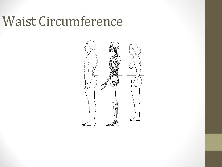 Waist Circumference 