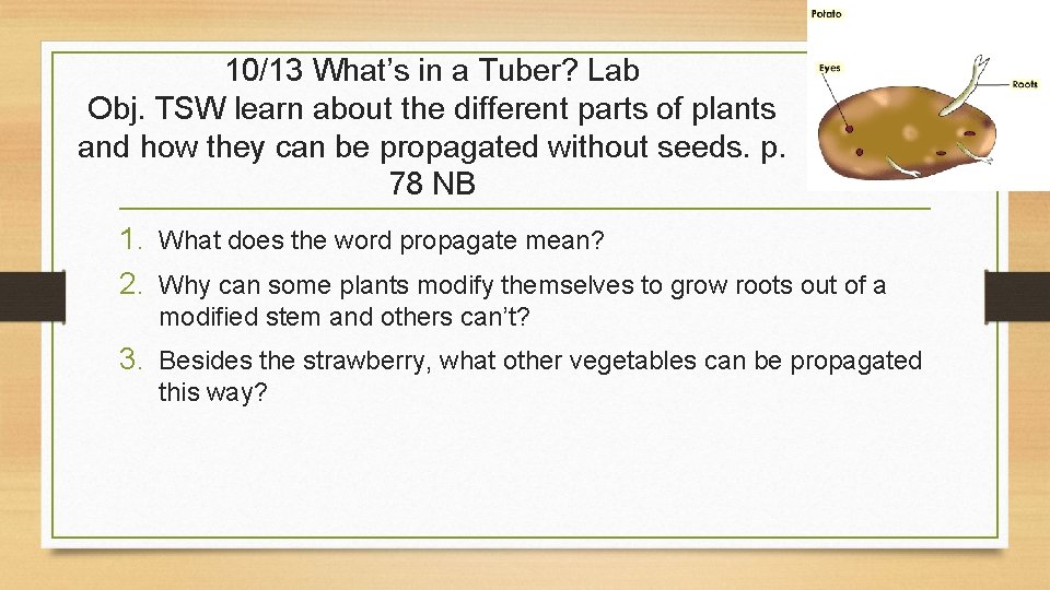 10/13 What’s in a Tuber? Lab Obj. TSW learn about the different parts of