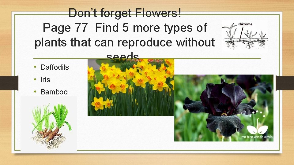 Don’t forget Flowers! Page 77 Find 5 more types of plants that can reproduce