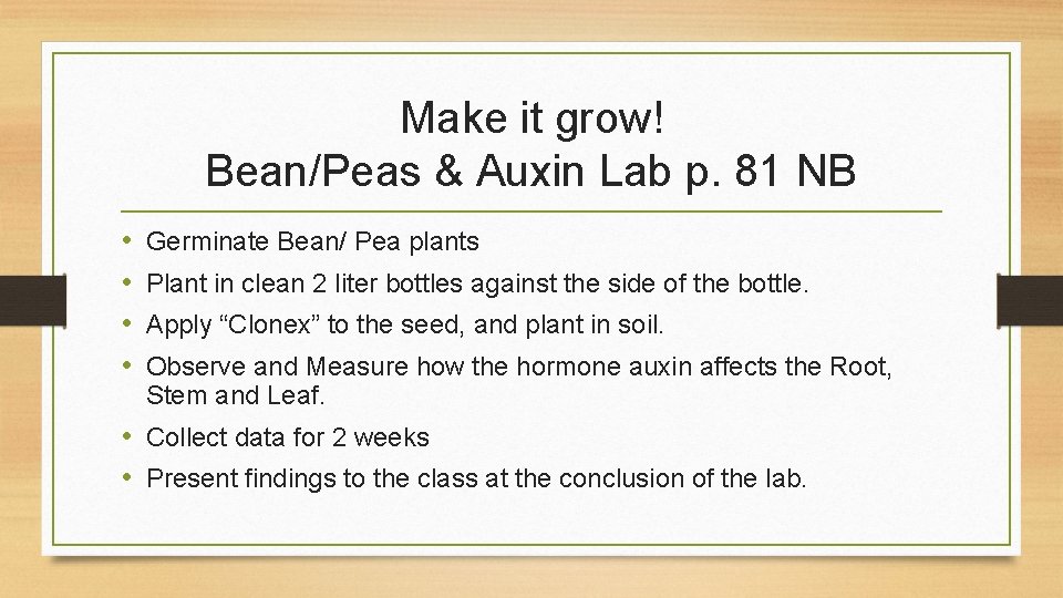 Make it grow! Bean/Peas & Auxin Lab p. 81 NB • • Germinate Bean/