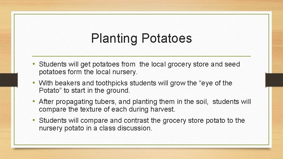 Planting Potatoes • Students will get potatoes from the local grocery store and seed