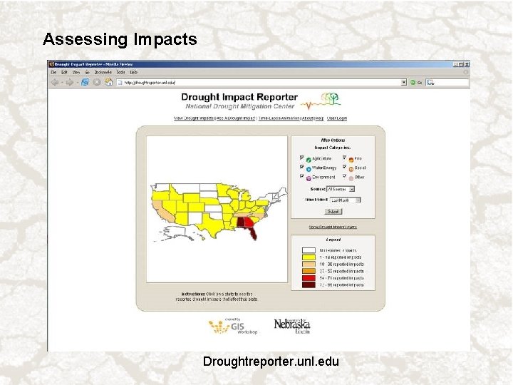 Assessing Impacts Droughtreporter. unl. edu 