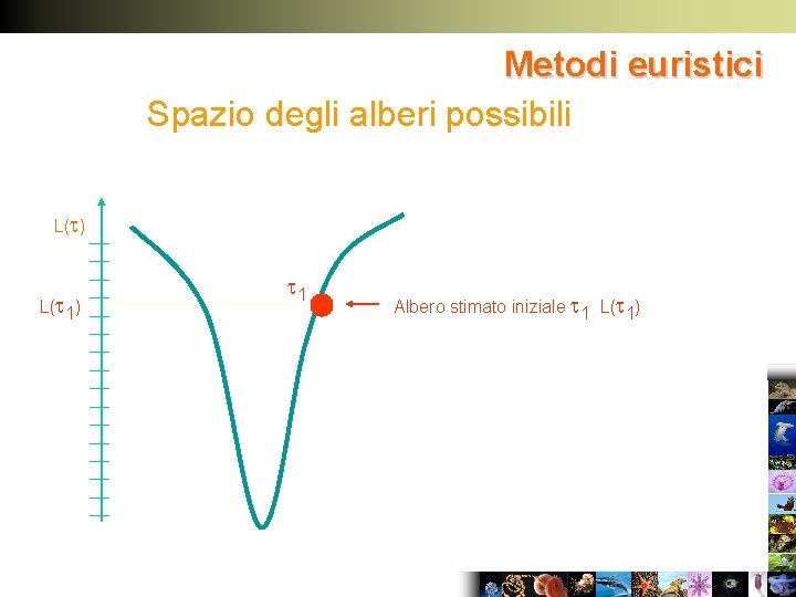 Metodi euristici Spazio degli alberi possibili L( ) L( 1) 1 Albero stimato iniziale