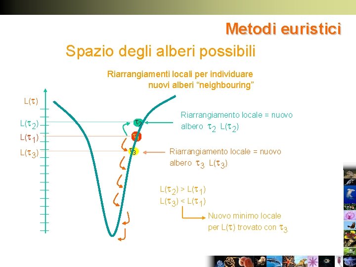 Metodi euristici Spazio degli alberi possibili Riarrangiamenti locali per individuare nuovi alberi “neighbouring” L(