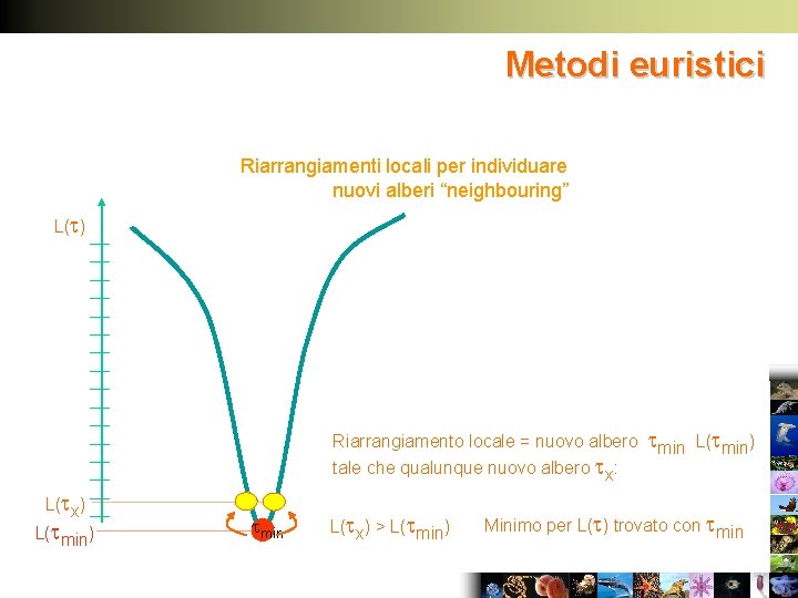 Metodi euristici Riarrangiamenti locali per individuare nuovi alberi “neighbouring” L( ) Riarrangiamento locale =