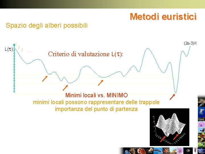 Spazio degli alberi possibili L( ): 1 2 Metodi euristici (2 n-3)!! 3 ….