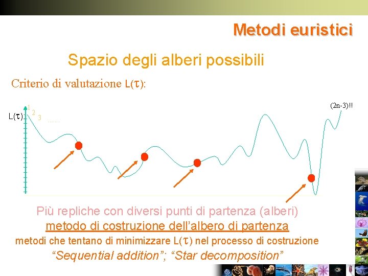 Metodi euristici Spazio degli alberi possibili Criterio di valutazione L( ): 1 2 (2