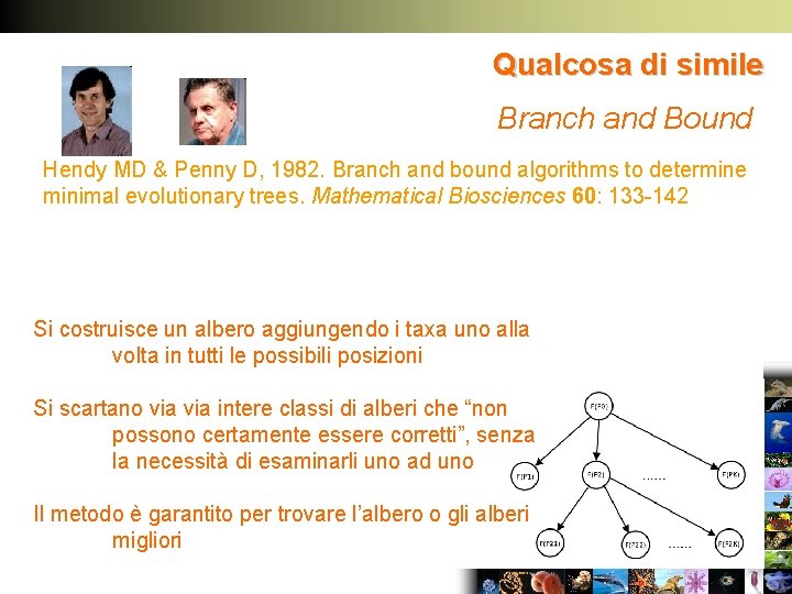 Qualcosa di simile Branch and Bound Hendy MD & Penny D, 1982. Branch and