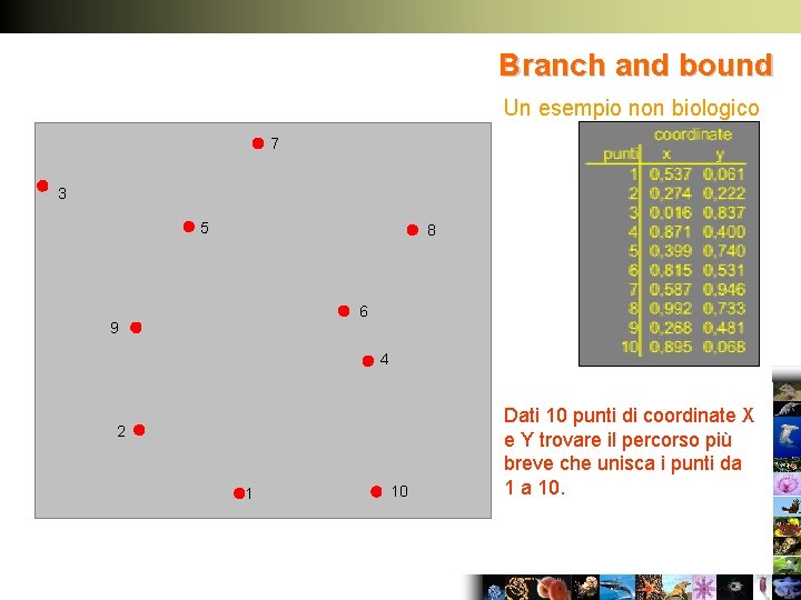 Branch and bound Un esempio non biologico 7 3 5 8 6 9 4