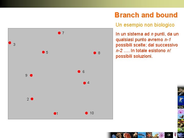 Branch and bound Un esempio non biologico 7 3 5 8 6 9 4