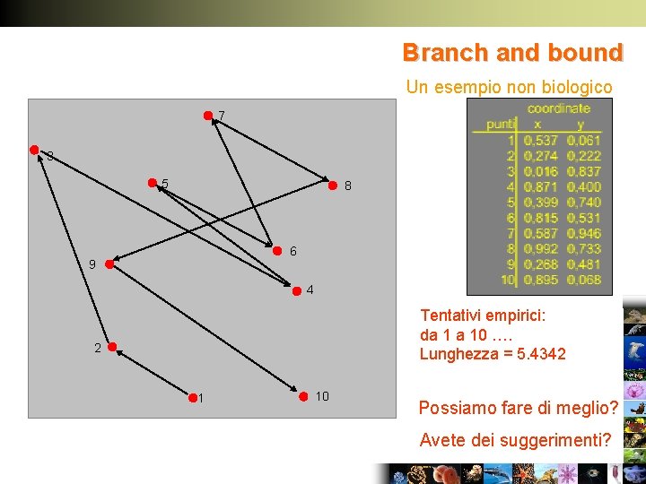 Branch and bound Un esempio non biologico 7 3 5 8 6 9 4