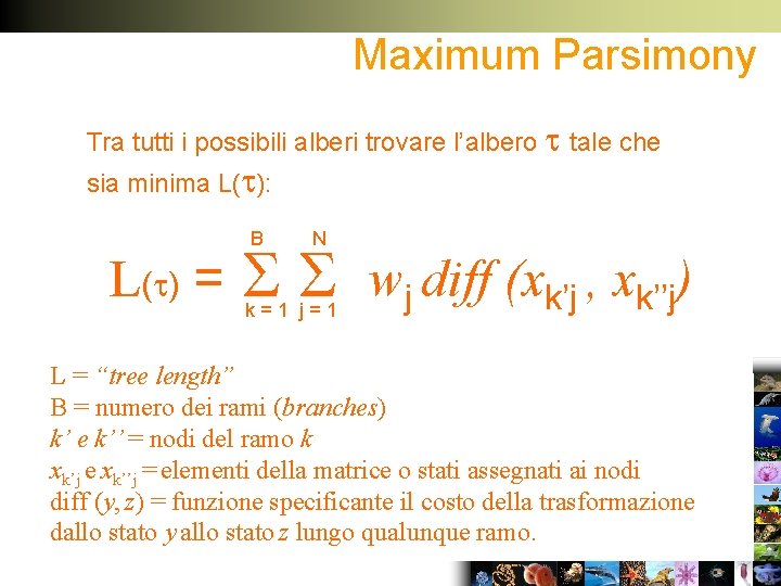 Maximum Parsimony Tra tutti i possibili alberi trovare l’albero tale che sia minima L(