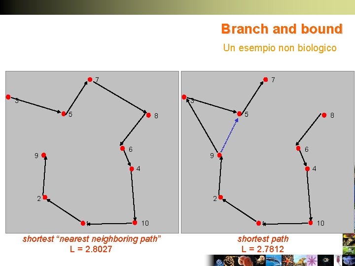 Branch and bound Un esempio non biologico 7 7 3 3 5 5 8