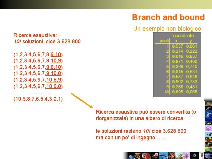 Branch and bound Un esempio non biologico Ricerca esaustiva: 10! soluzioni, cioè 3. 628.