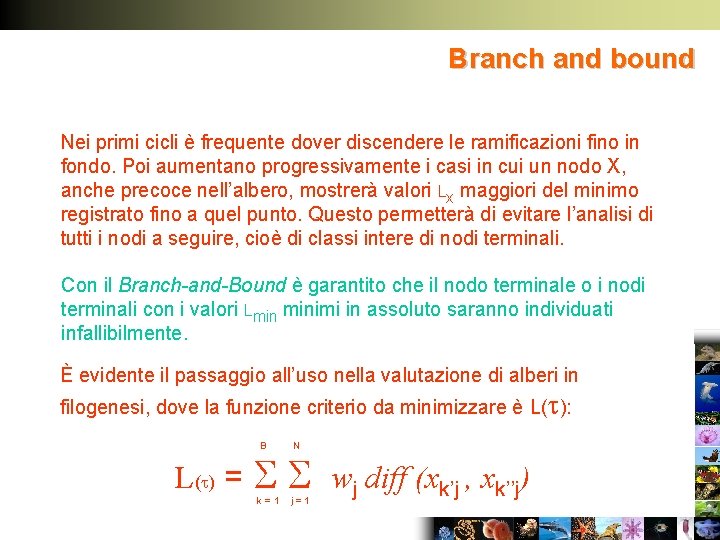 Branch and bound Nei primi cicli è frequente dover discendere le ramificazioni fino in