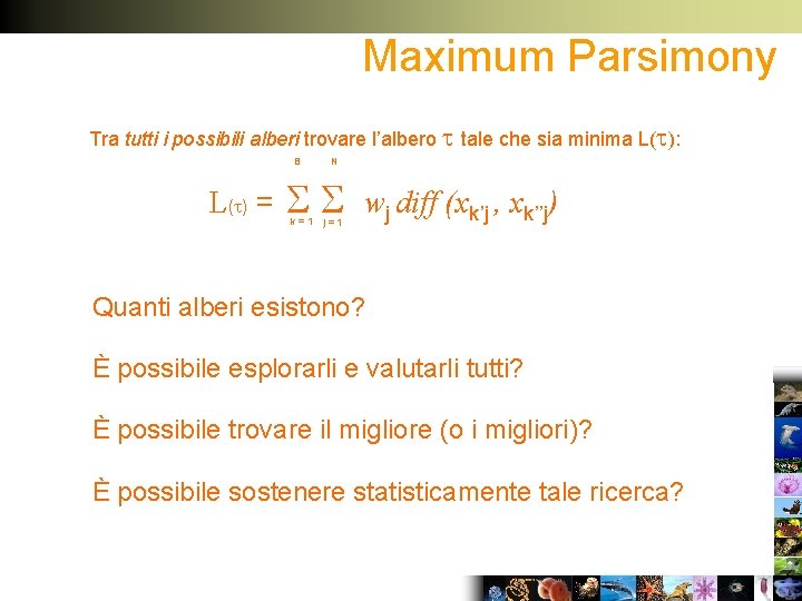 Maximum Parsimony Tra tutti i possibili alberi trovare l’albero tale che sia minima L(