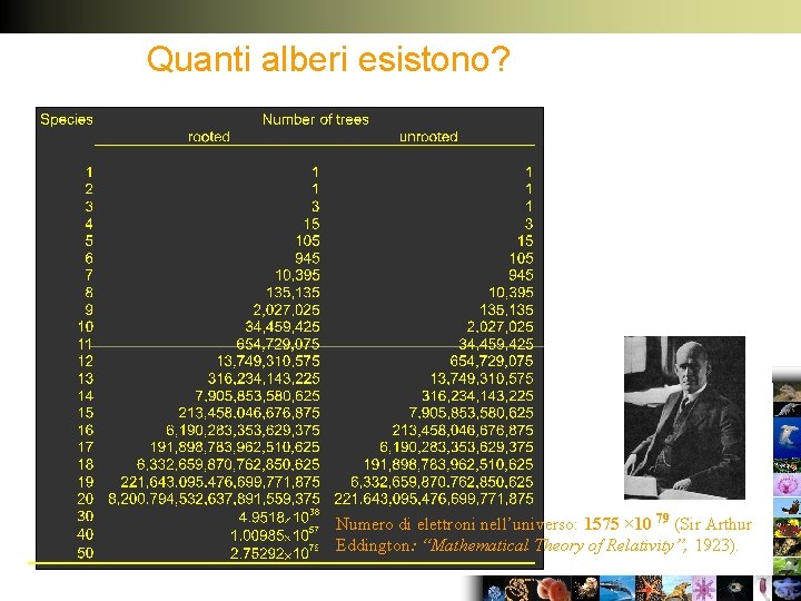 Quanti alberi esistono? Numero di elettroni nell’universo: 1575 × 10 79 (Sir Arthur Eddington: