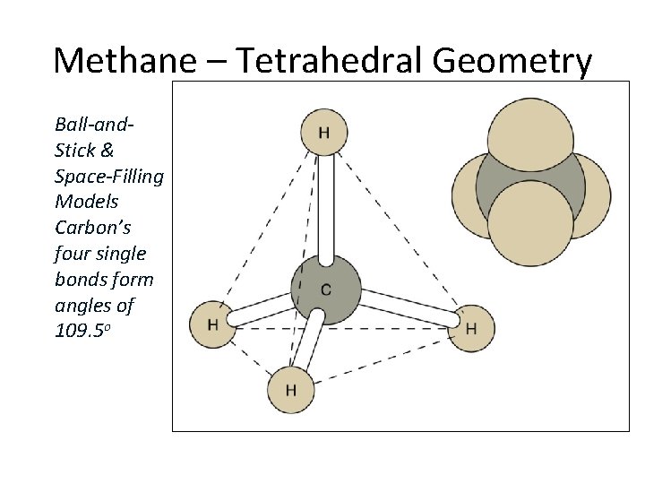 Methane – Tetrahedral Geometry Ball-and. Stick & Space-Filling Models Carbon’s four single bonds form
