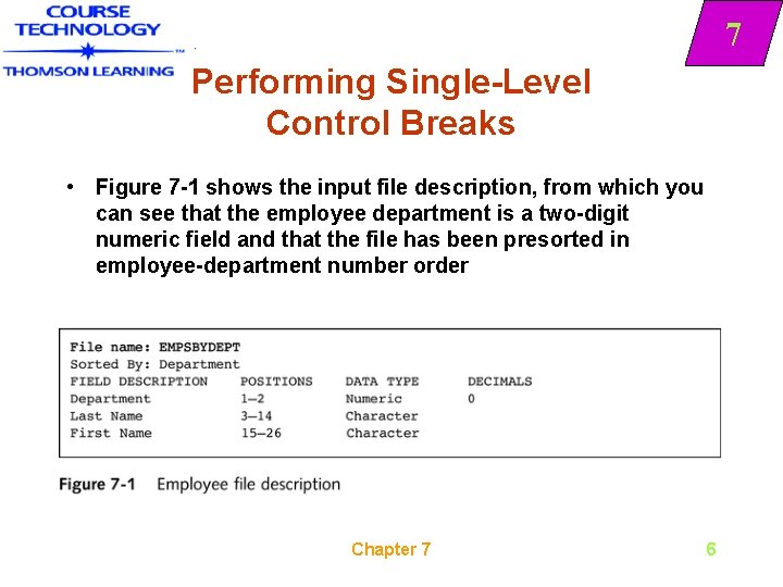 7 Performing Single-Level Control Breaks • Figure 7 -1 shows the input file description,