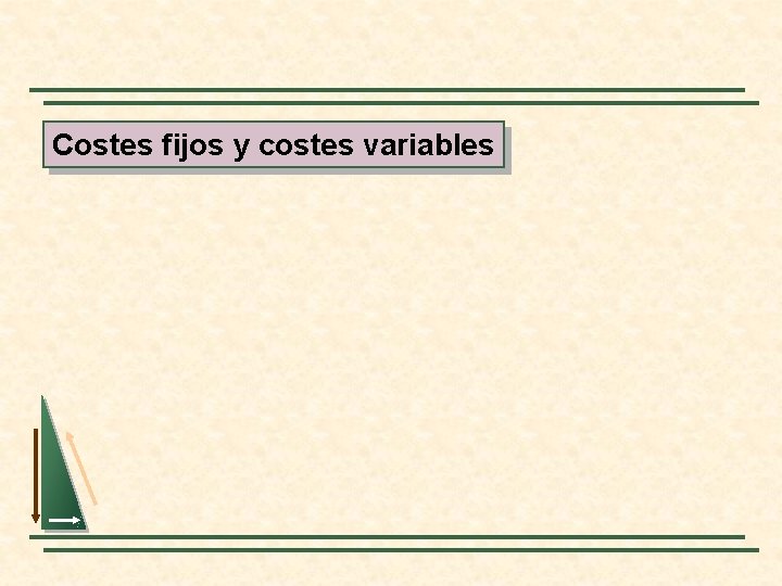 Costes fijos y costes variables 