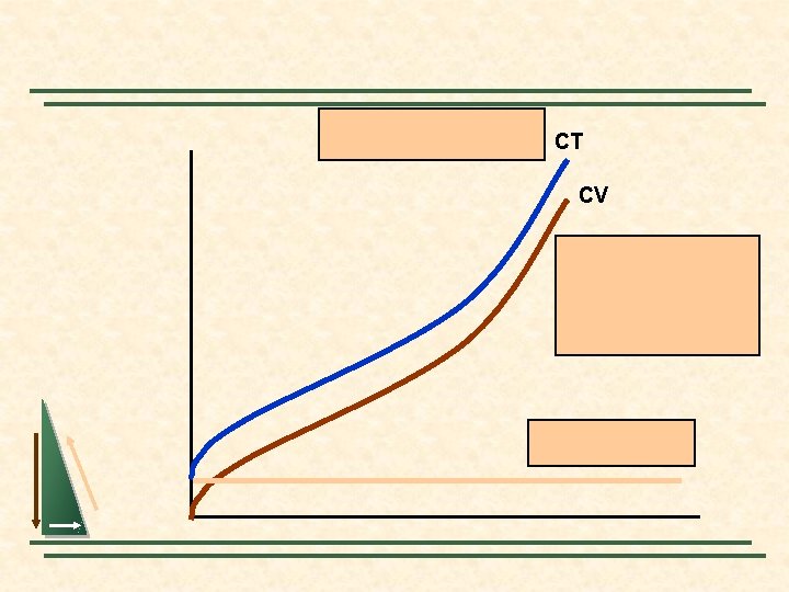 CT CV 