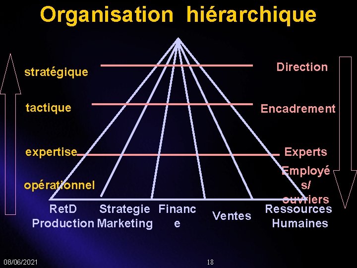 Organisation hiérarchique Direction stratégique tactique Encadrement expertise Experts opérationnel Ret. D Strategie Financ Production