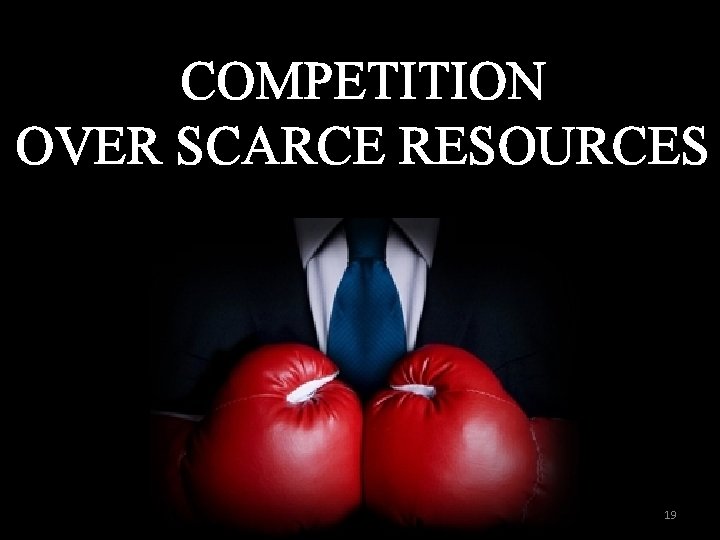 COMPETITION OVER SCARCE RESOURCES 19 