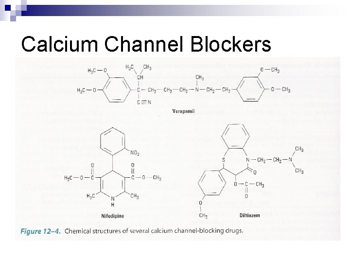 Calcium Channel Blockers Calcium Channel Blockers
