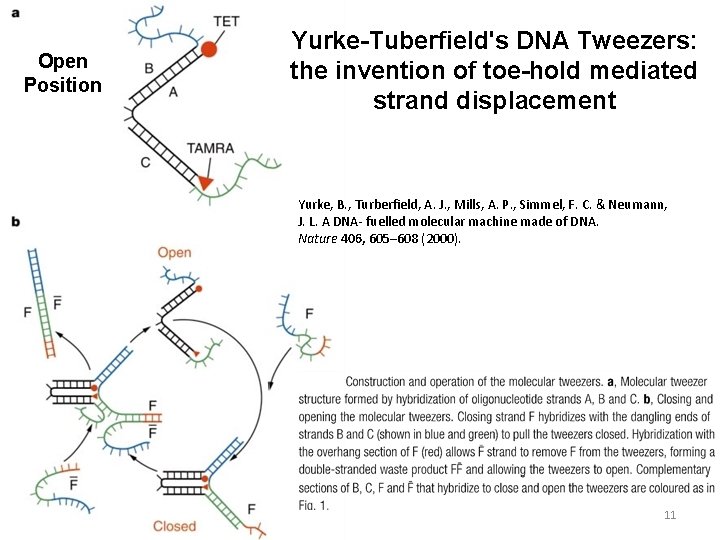 Open Position Yurke-Tuberfield's DNA Tweezers: the invention of toe-hold mediated strand displacement Yurke, B.