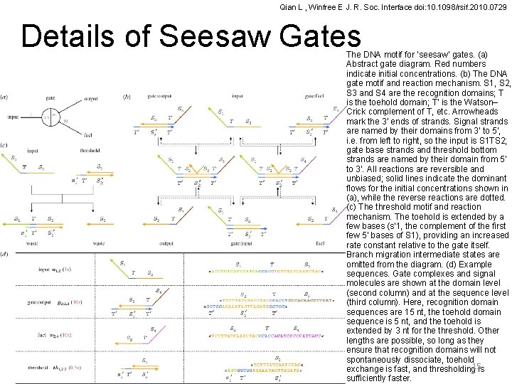 Qian L , Winfree E J. R. Soc. Interface doi: 10. 1098/rsif. 2010. 0729