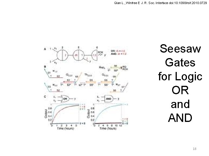 Qian L , Winfree E J. R. Soc. Interface doi: 10. 1098/rsif. 2010. 0729