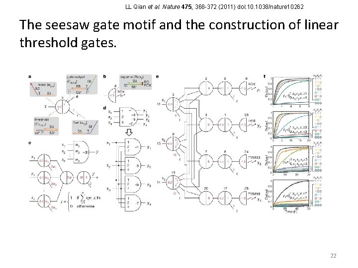 LL Qian et al. Nature 475, 368 -372 (2011) doi: 10. 1038/nature 10262 The