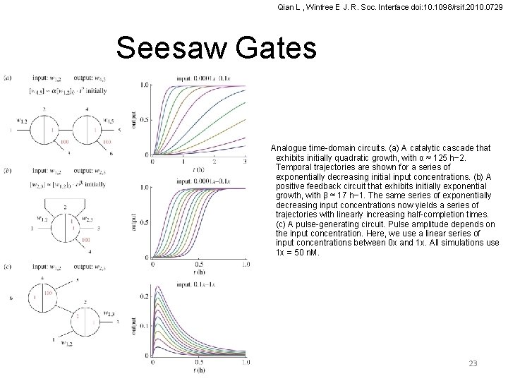 Qian L , Winfree E J. R. Soc. Interface doi: 10. 1098/rsif. 2010. 0729