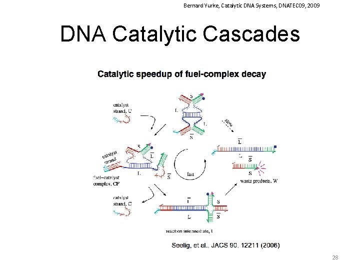 Bernard Yurke, Catalytic DNA Systems, DNATEC 09, 2009 DNA Catalytic Cascades 28 